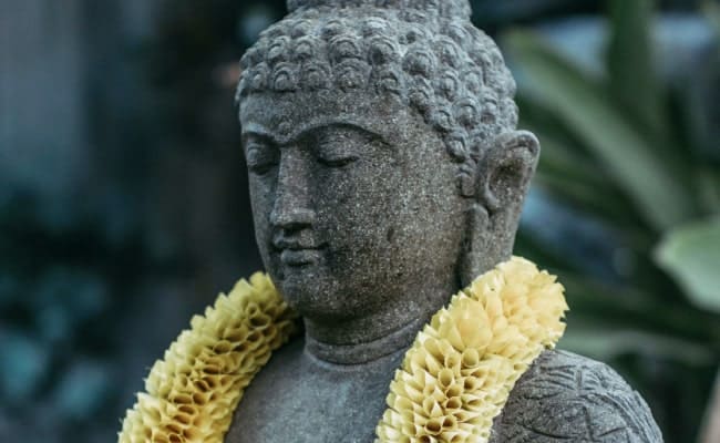 Đức Phật Là Ai? Cuộc Đời Đức Phật Thích Ca Mâu Ni