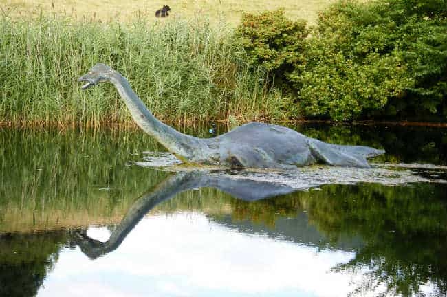 Quái vật hồ Loch Ness là con gì và nó có thật không? | Hoa Sen Phật