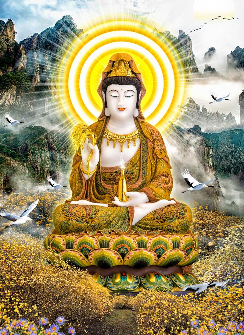 101+ Những Hình Phật, Ảnh Phật Đẹp Nhất 2023 - Hoasenphat